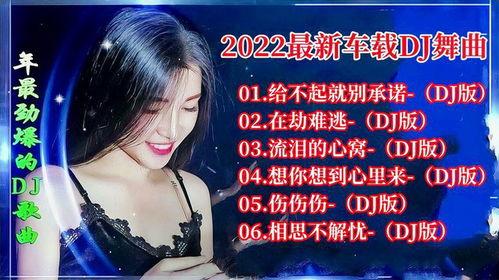 网红dj串烧在线听,网红DJ串烧在线视听盛宴