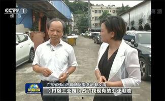 深圳顺德新闻头条视频,聚焦最新动态，洞察区域发展新趋势